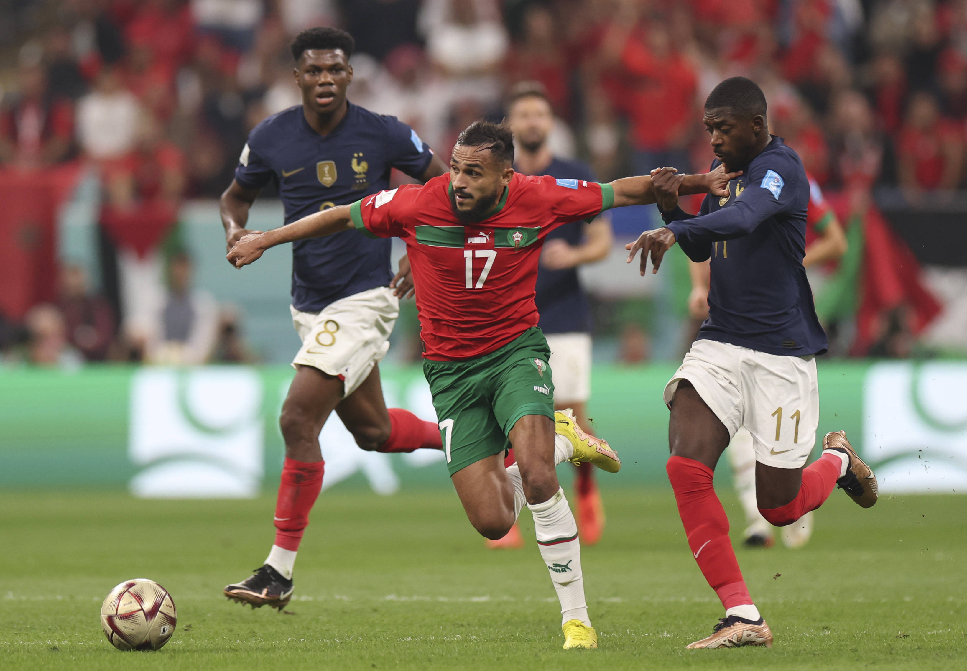 若申花率先 若申花率先