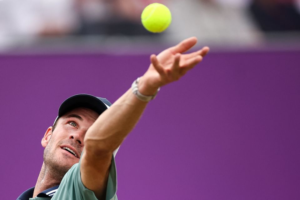 预计会有新 预计会有新